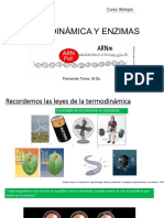 PDF - Termodinámica y Enzimas PDF