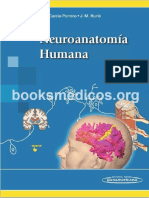 Neuroanatomía Humana - Porreo PDF