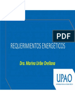 S4 - PPT Requerimientos Energéticos