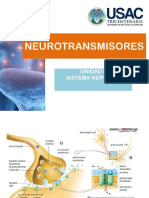 Neurotransmisores: Clasificación y Funciones Principales