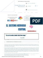 SNC Neurodesarrollo - Consejoneurociencias 1