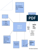 Mapa Conceptual - Control de Infecciones PDF