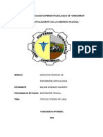 Monografia Camas-Willma-Gn PDF