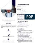 Currículo Gabriel Castro Ribeiro PDF