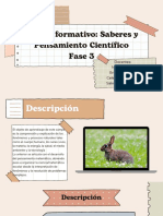 Fase 3 PDF