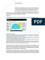 Guia Phet Neurona PDF