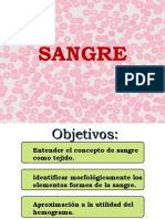 06 Sangre - Pps