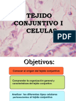 03 Conjuntivo Celulas - Pps