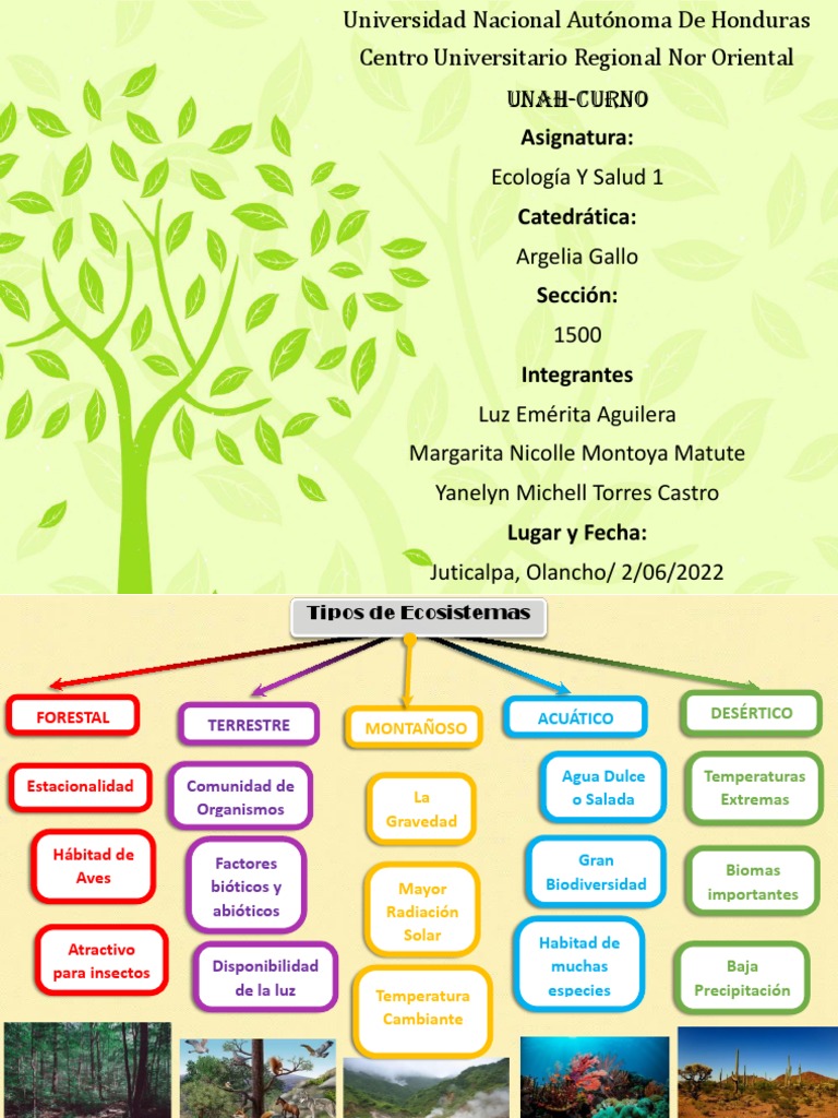 Mapa conceptual de tipos de ecosistemas | PDF