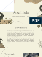 Rosellinia SP