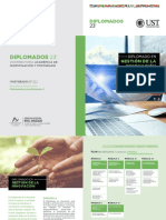 Diplomado Gestion Innovacion 2023 PDF