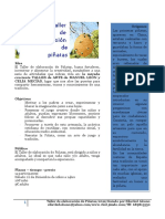 Taller Pic3b1atas PDF