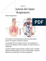 Contenido 1 Parcial