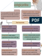 Psicologia Juridica PDF