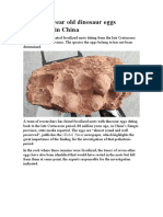 80 Million Year Old Dinosaur Eggs Discovered in China - PROJECT ADVANCED 03