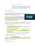 Bii Oxidación de Ácidos Grasos Otoño 2021 PDF