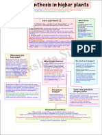 Photosynthesis in Higher Plants