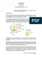 Guía de Laboratorio La Flor PDF