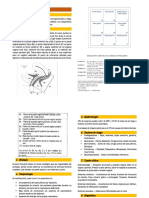 Alteraciones Del Piso Pelvico - Distopia Genital e Incontinencia Urinaria PDF