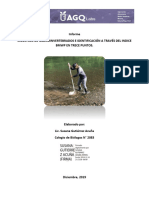 Undp Informe Muestreo Macroinvertebrados Indice BMWP Sixaola 19 PDF