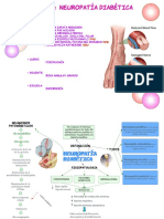 Mapa Revisado