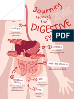 Sistema Digestivo PDF