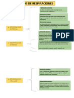 Tipos de Respiracion