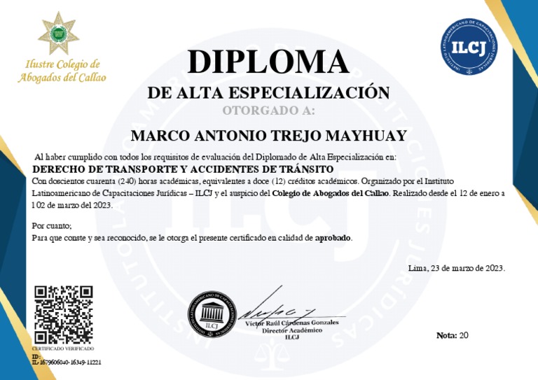 Diploma De Alta Especialización Pdf