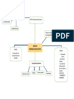 Nuevo Modelo Educativo (Esquema)