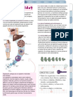 Bioquímica Y Biología Molecular PDF