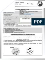 Matematicas - Grado Sexto