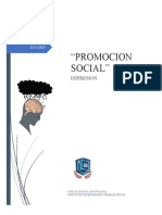 Promocion Social-Depresion