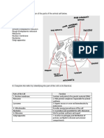 Prelim - Probset 1 (Quintos) PDF