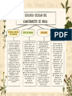 MAPA-Biología Celular PDF