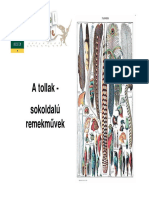 Tollak PDF