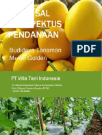 Proposal Pendanaan Budidaya Melon Golden Villa Tani PDF