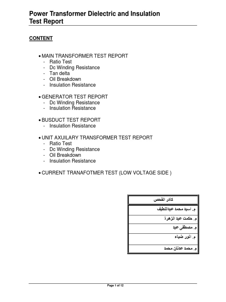 Power Transformer Insulation Test Report | PDF