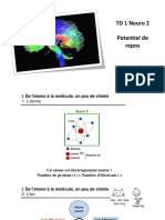 TD1 Neuro2 Ametice PDF