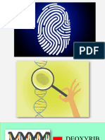 4.11nucleic Acids1