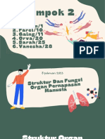 Sruktur Dan Fungsi Organ Pernapasan Manusia KLMPK 2 PDF