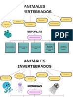 Animales Invertebrados