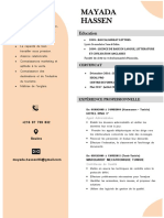 CV Agnet de Voyage PDF