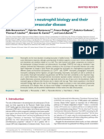 Novel Findings in Neutrophil Biology and Their Impact On Cardiovascular Disease PDF