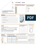 Topic 9 Review PDF