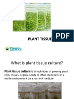 Plant Tissue Culture