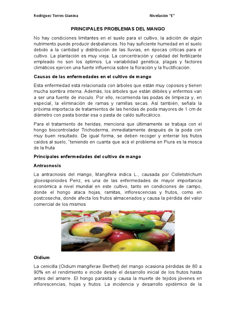 Enfermedades del mango y su control | PDF