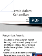 Anemia Dalam Kehamilan