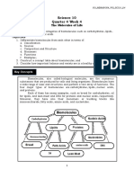 Science10 - Q4 - Week 4 The Molecules of Life PDF