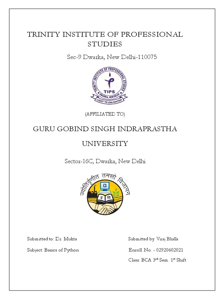 Python Practical File by Viraj Bhalla | PDF