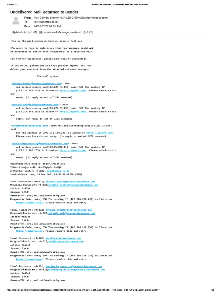Roundcube Webmail - Undelivered Mail Returned To Sender PDF | PDF